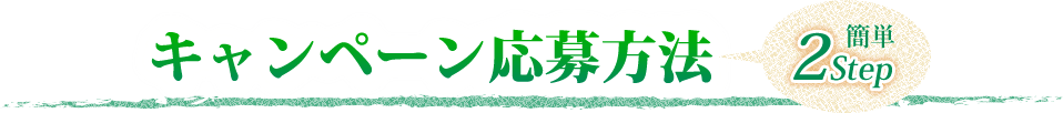 キャンペーン応募方法